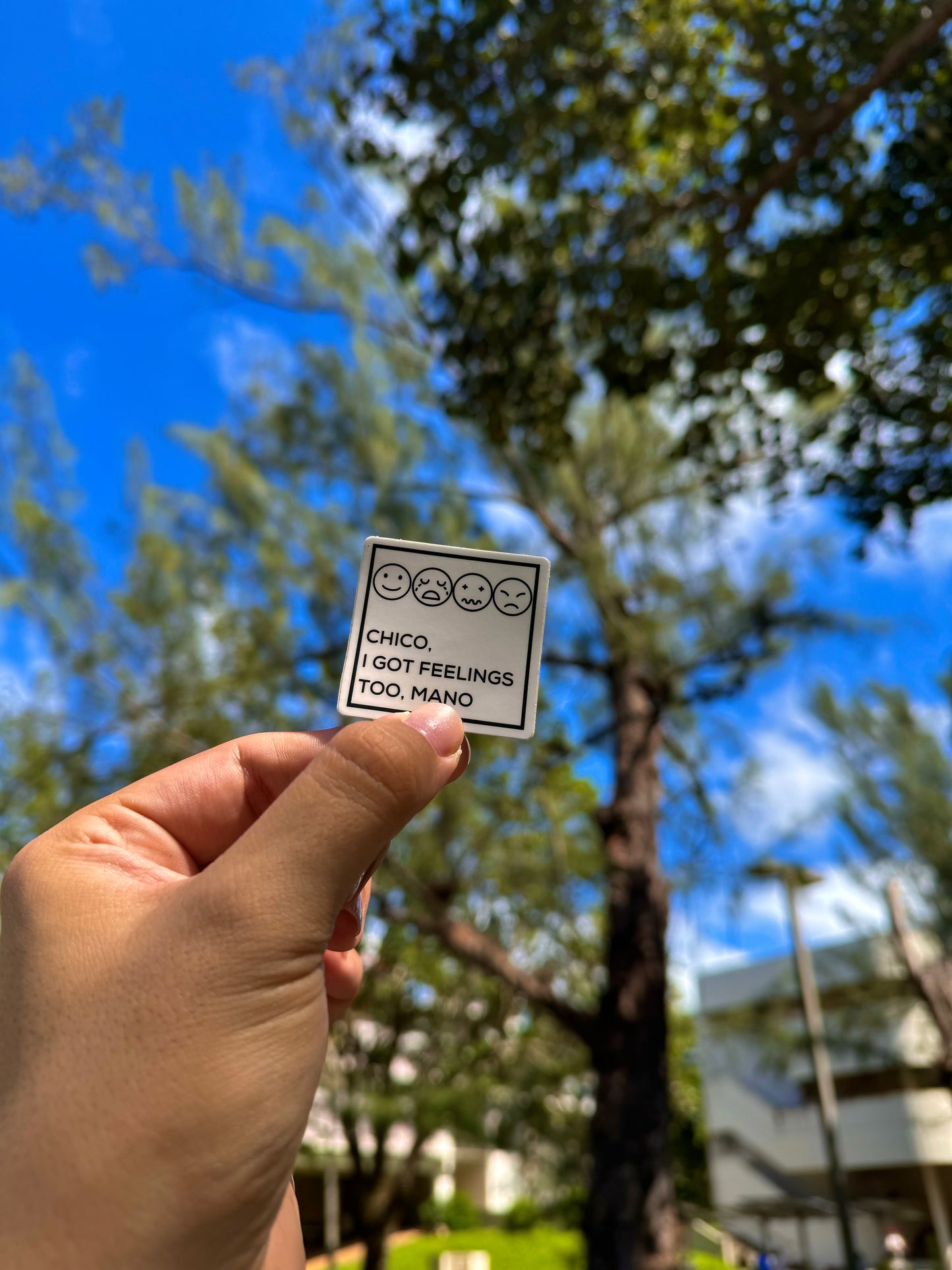 Chico, I got feelings too, mano - Matte Sticker