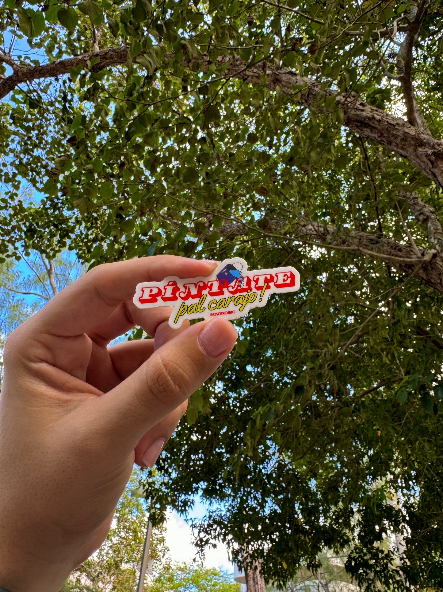 Píntate pal carajo - Matte Sticker