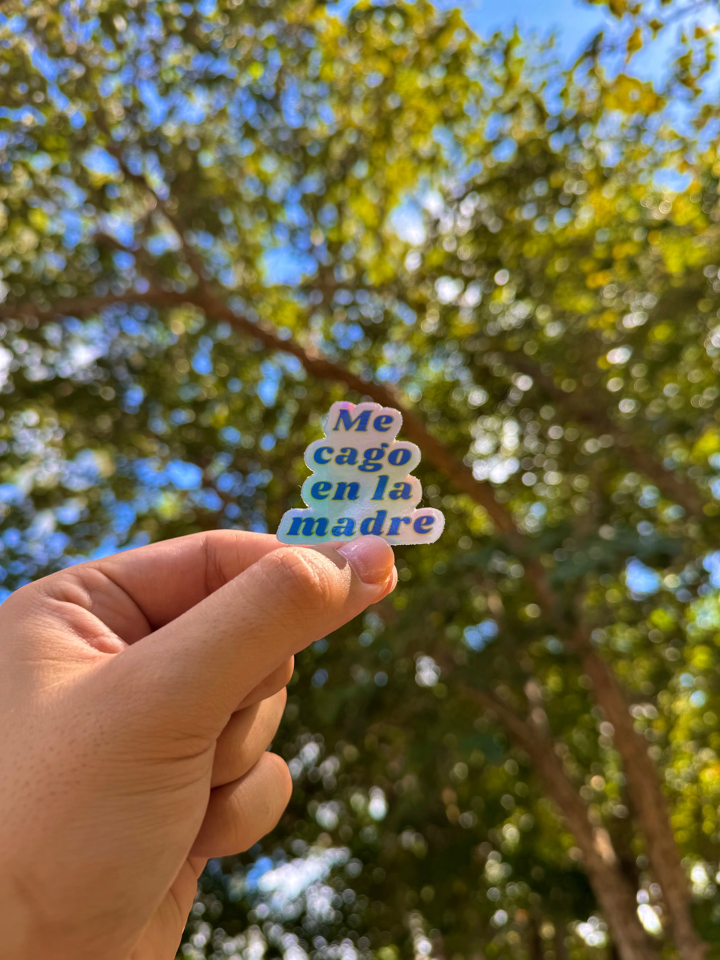 Me cago en la madre - Holographic Sticker